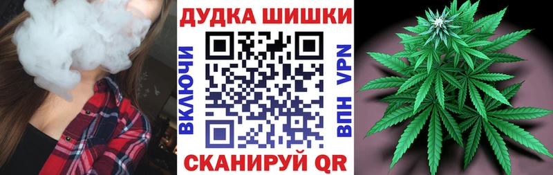 где продают Шахунья Марихуана гибрид